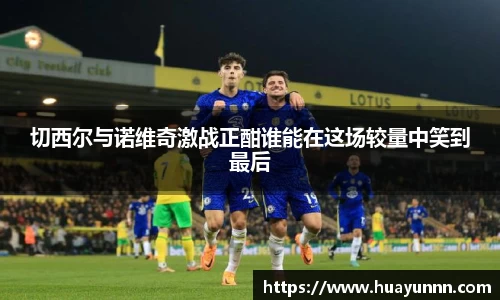 切西尔与诺维奇激战正酣谁能在这场较量中笑到最后